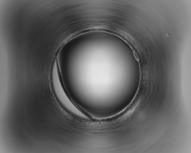 X0000091720985200709141202