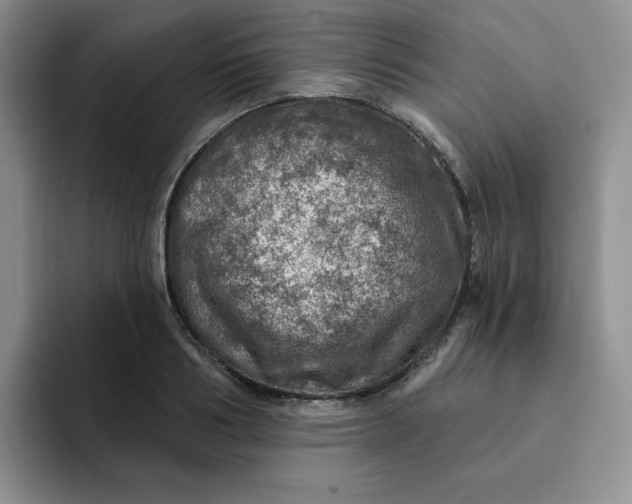 X0000091720986200709141202