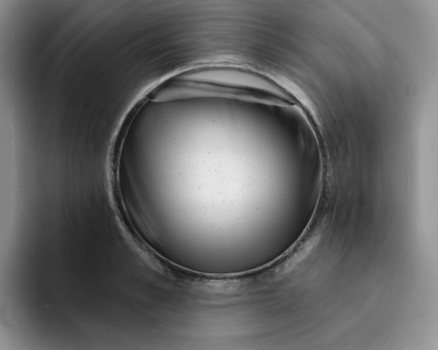 X0000091720989200709141202