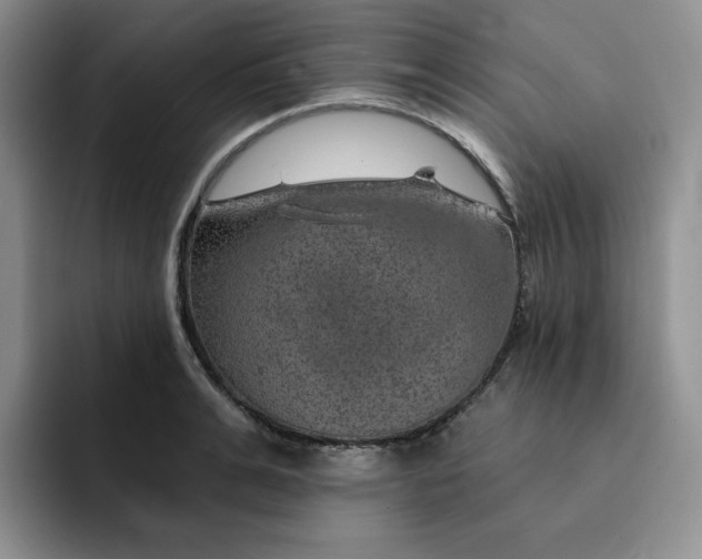 X0000091720991200709141202