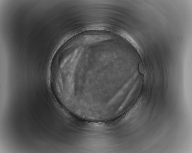 X0000091720994200709141202