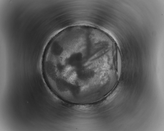 X0000091720995200709141202