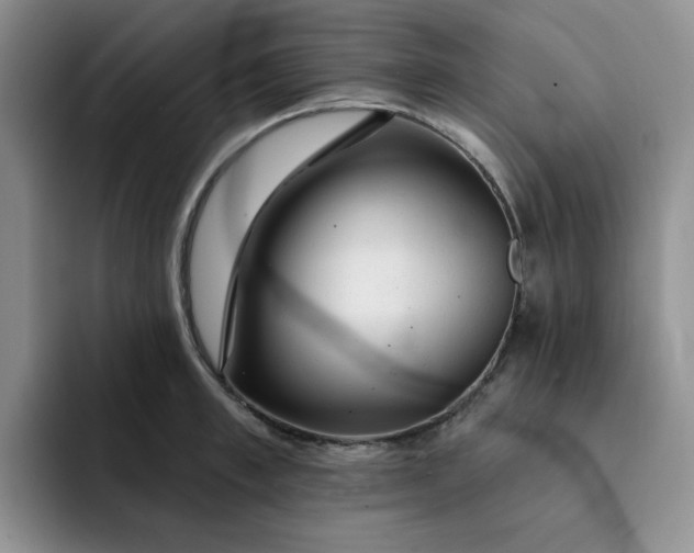 X0000091720997200709141202