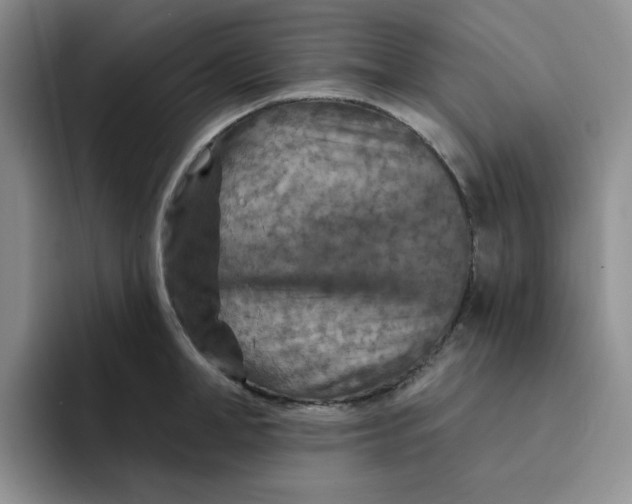 X0000091720998200709141202