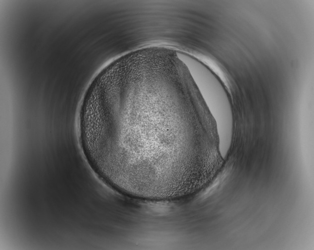 X0000091720999200709141202