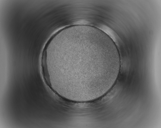 X0000091721000200709141202