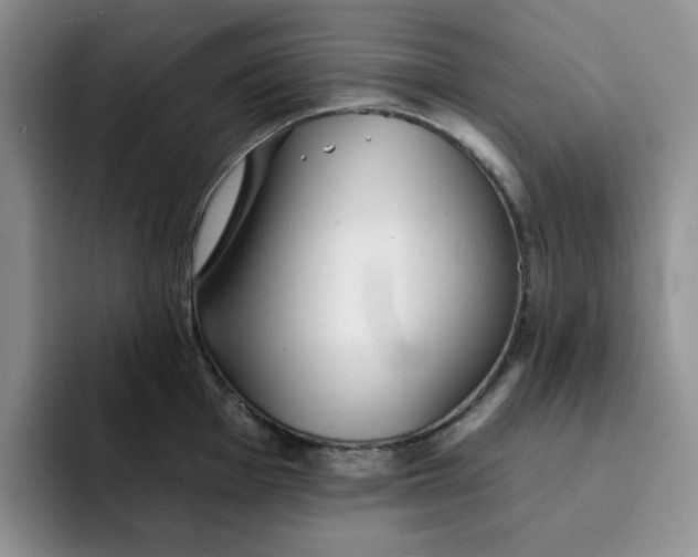 X0000091721001200709141202