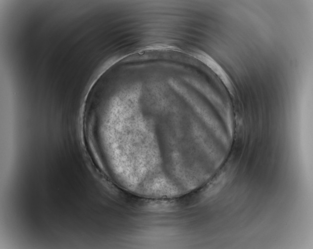 X0000091721002200709141202