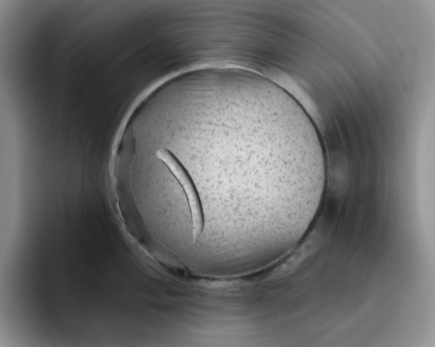 X0000091721004200709141202