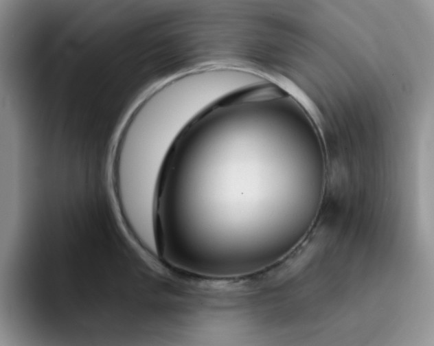 X0000091721005200709141202