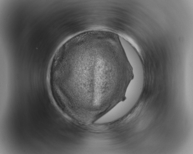 X0000091721007200709141201