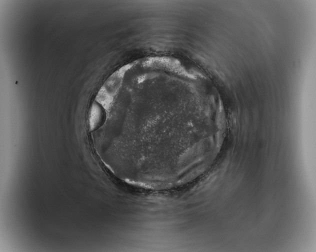 X0000091721009200709141201