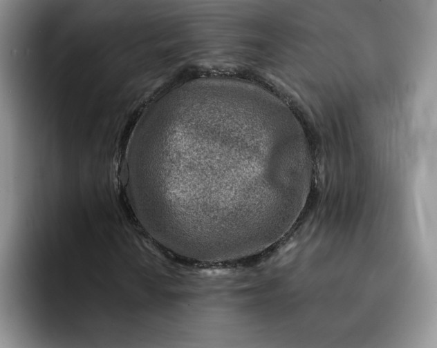 X0000091721010200709141201