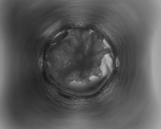 X0000091721011200709141201