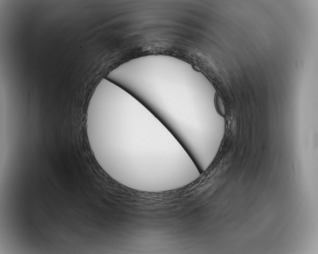 X0000091721012200709141201