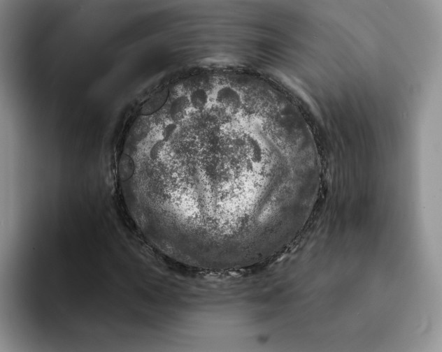 X0000091721015200709141201