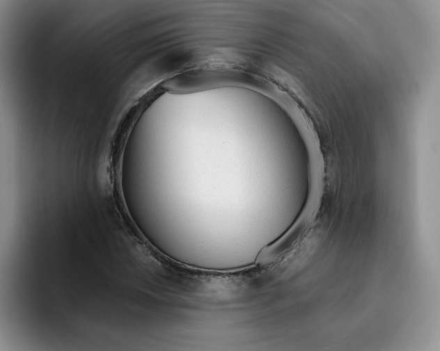 X0000091721018200709141201