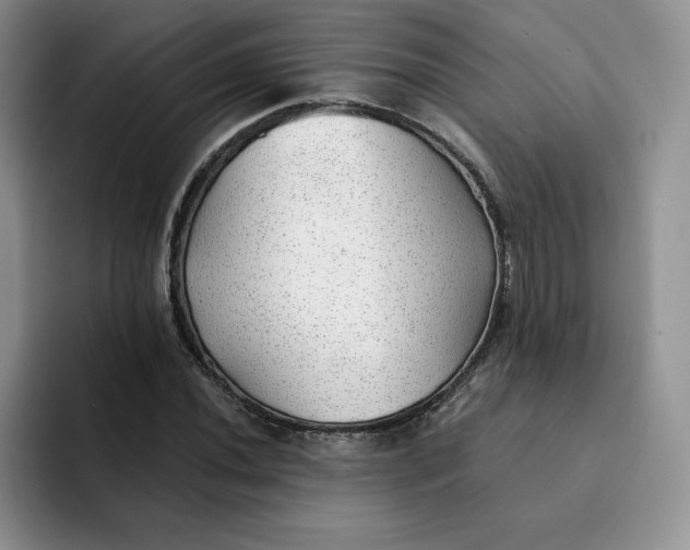 X0000091721020200709141201