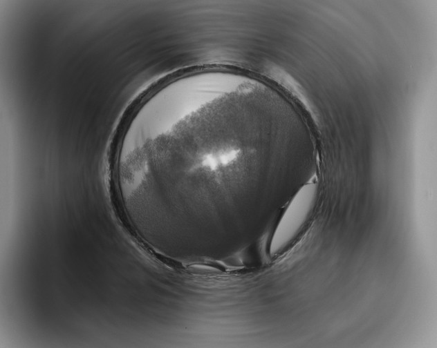 X0000091721024200709141201