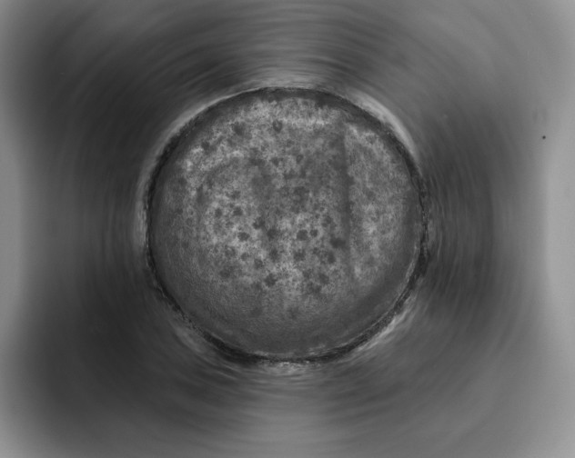 X0000091721027200709141201