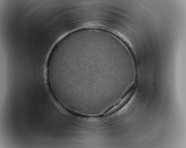 X0000091721029200709141201