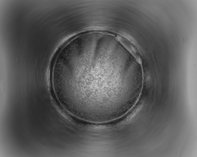 X0000091721030200709141201