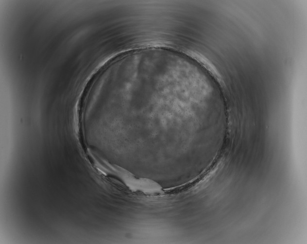 X0000091721031200709141201