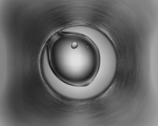 X0000091721034200709141201