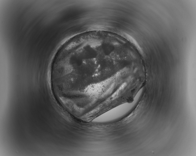 X0000091721035200709141201