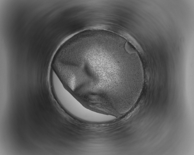 X0000091721036200709141201