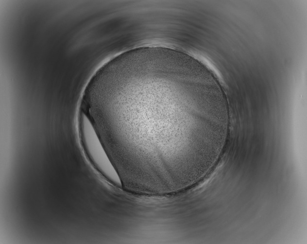 X0000091721040200709141201