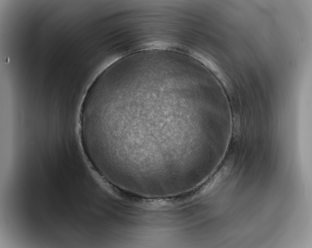 X0000091721042200709141201