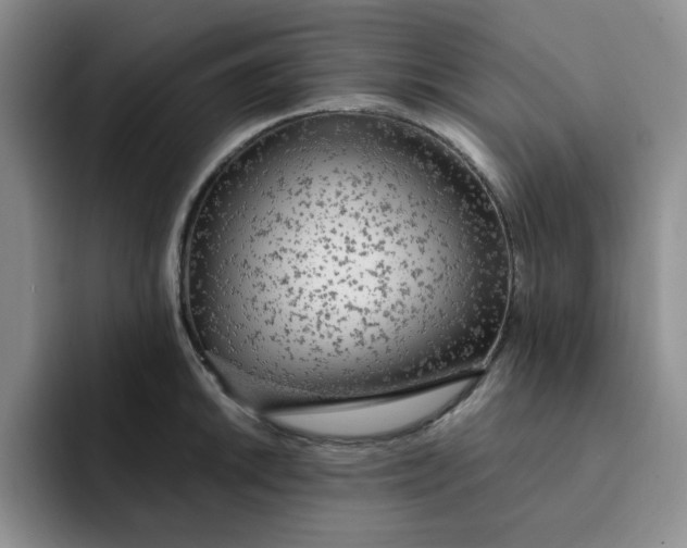 X0000091721046200709141201