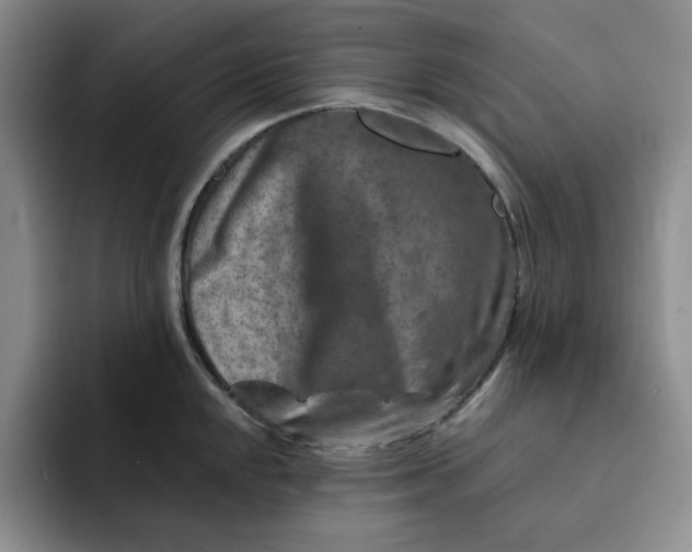 X0000091721048200709141201