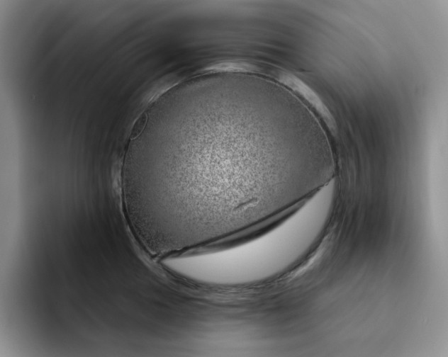 X0000091721049200709141201