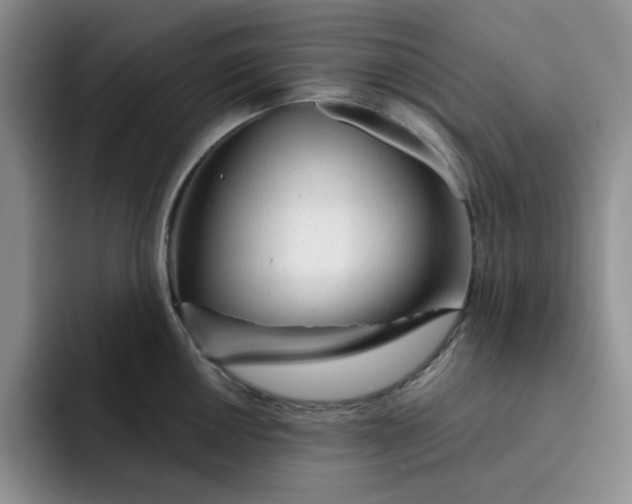 X0000091721050200709141201