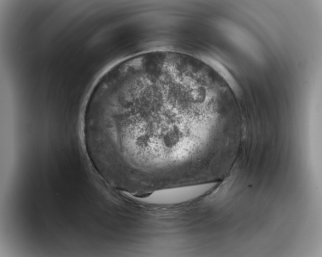 X0000091721051200709141201