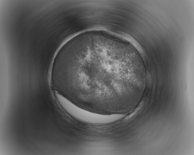 X0000091721052200709141201