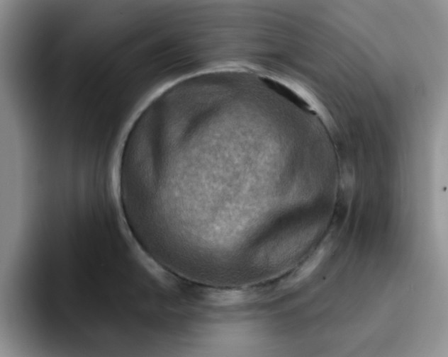 X0000091721054200709141201