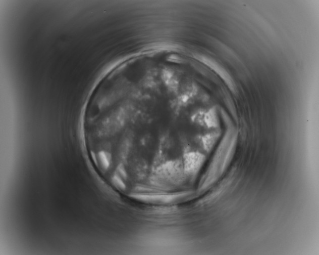 X0000091721055200709141201