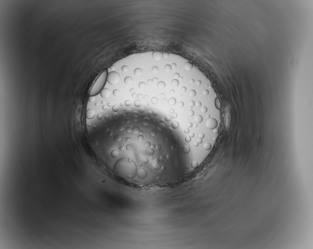 X0000091721059200709141201