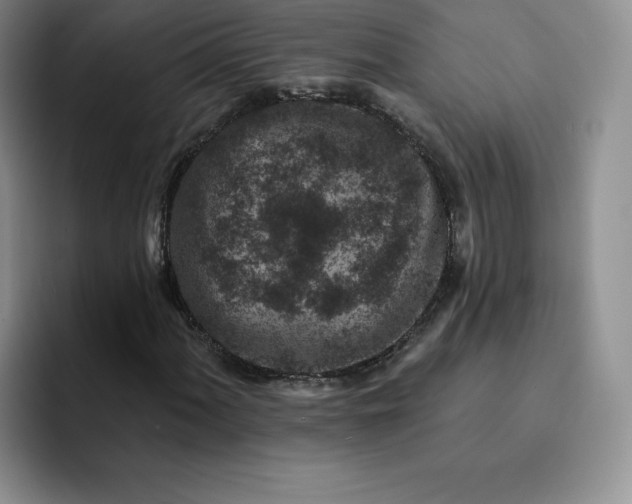 X0000091721060200709141201