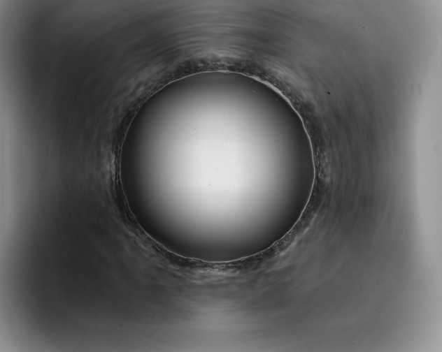 X0000091721061200709141201