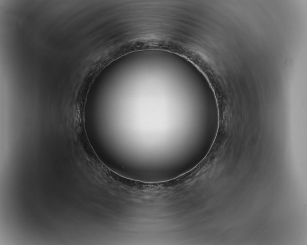 X0000091721062200709141201