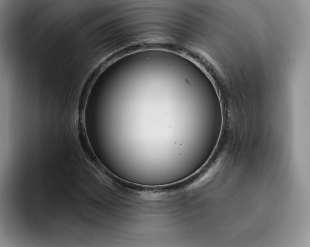 X0000091721065200709141201