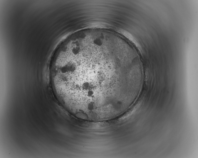 X0000091721067200709141201