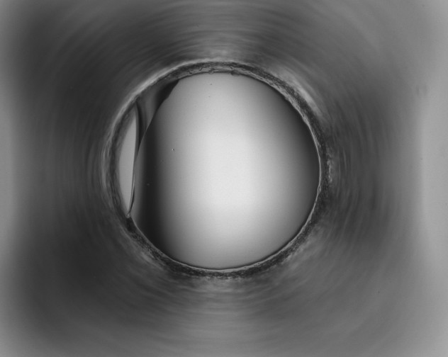 X0000091721069200709141201