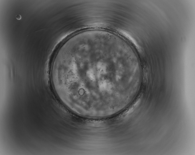 X0000091721071200709141201