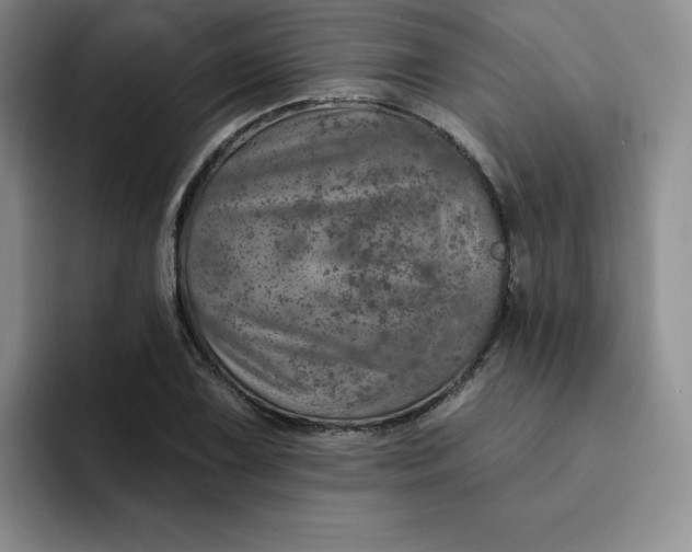 X0000091721075200709141201