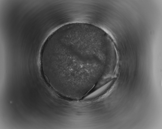 X0000091721077200709141201